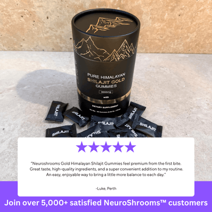 NeuroShrooms™ Gold Himalayan Shilajit Gummies